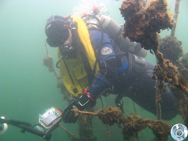 Tauchen in Ferropolis_16