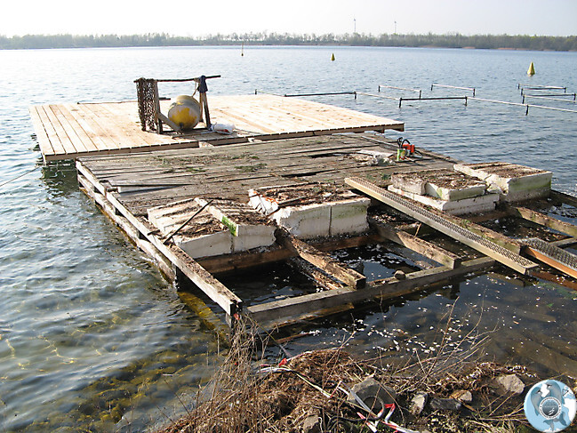 Abbau alter Schwimmponton_1